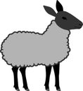 Gray sheep with black head Royalty Free Stock Photo